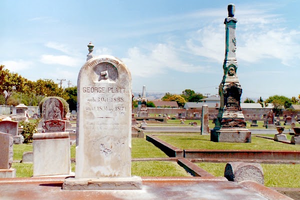Mount Eden Cemetery grounds