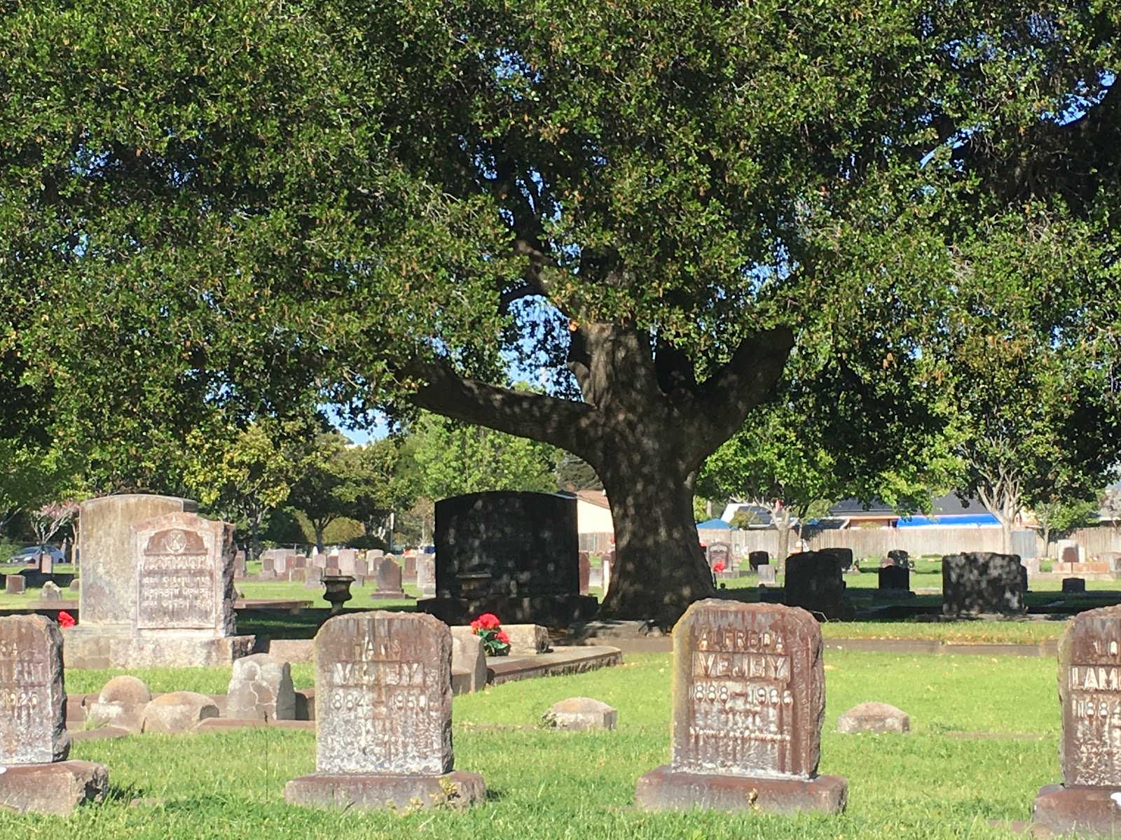 Mount Eden Cemetery cemetery grounds and headstones