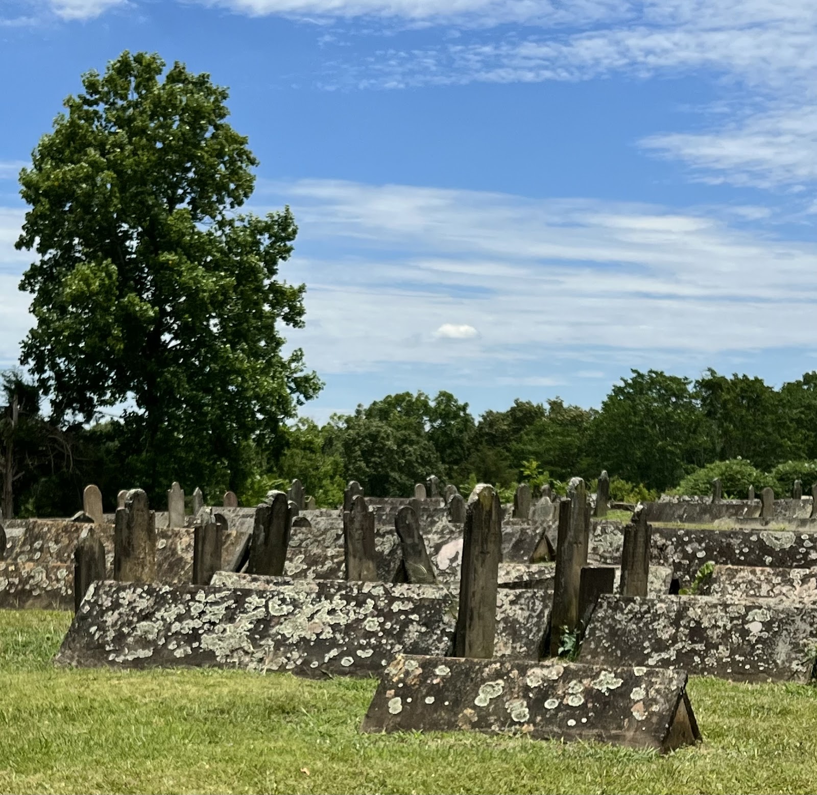 Mount Gilead Cemetery cemetery grounds and headstones