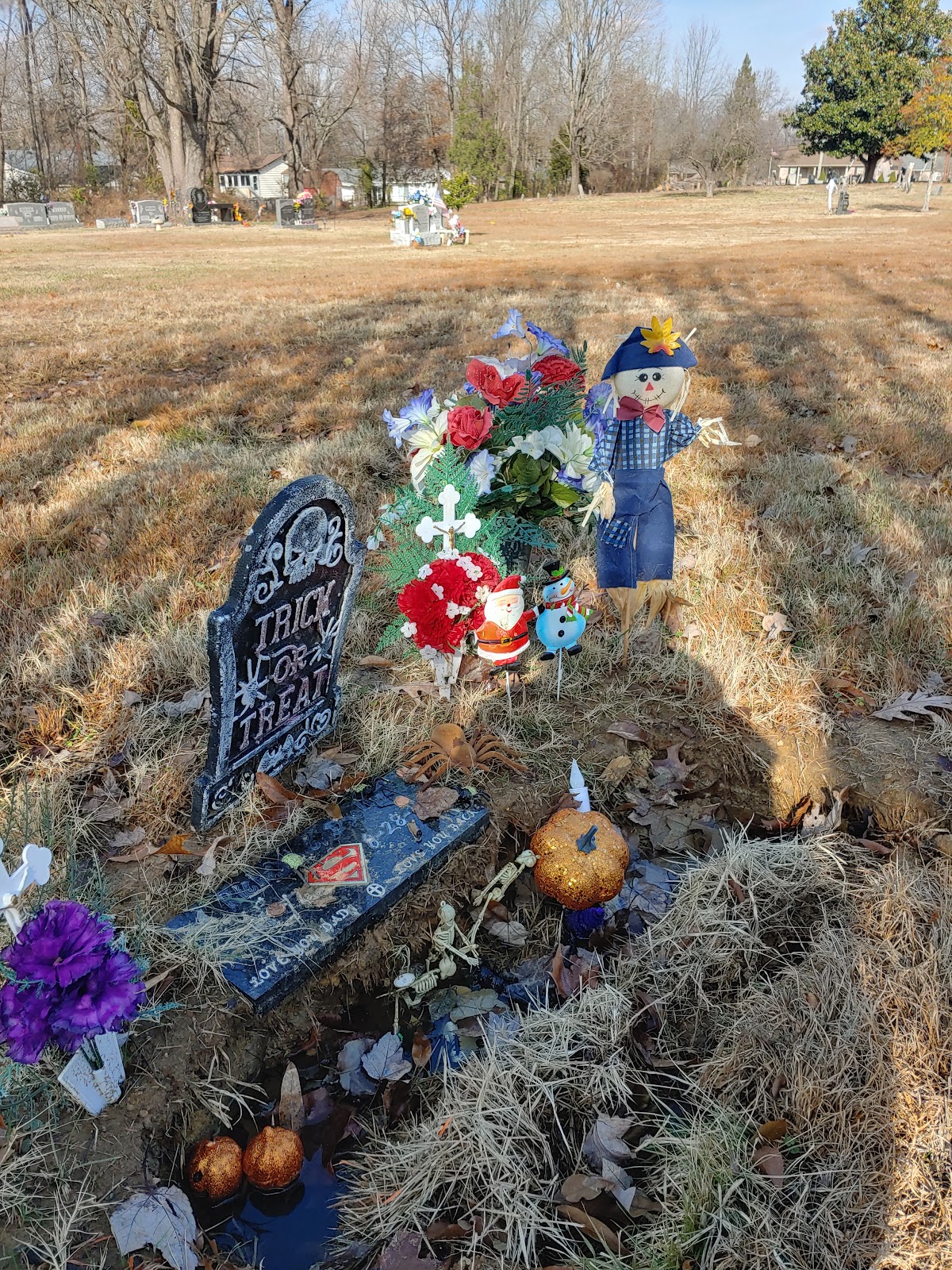 Mount Holly Cemetery cemetery grounds and headstones