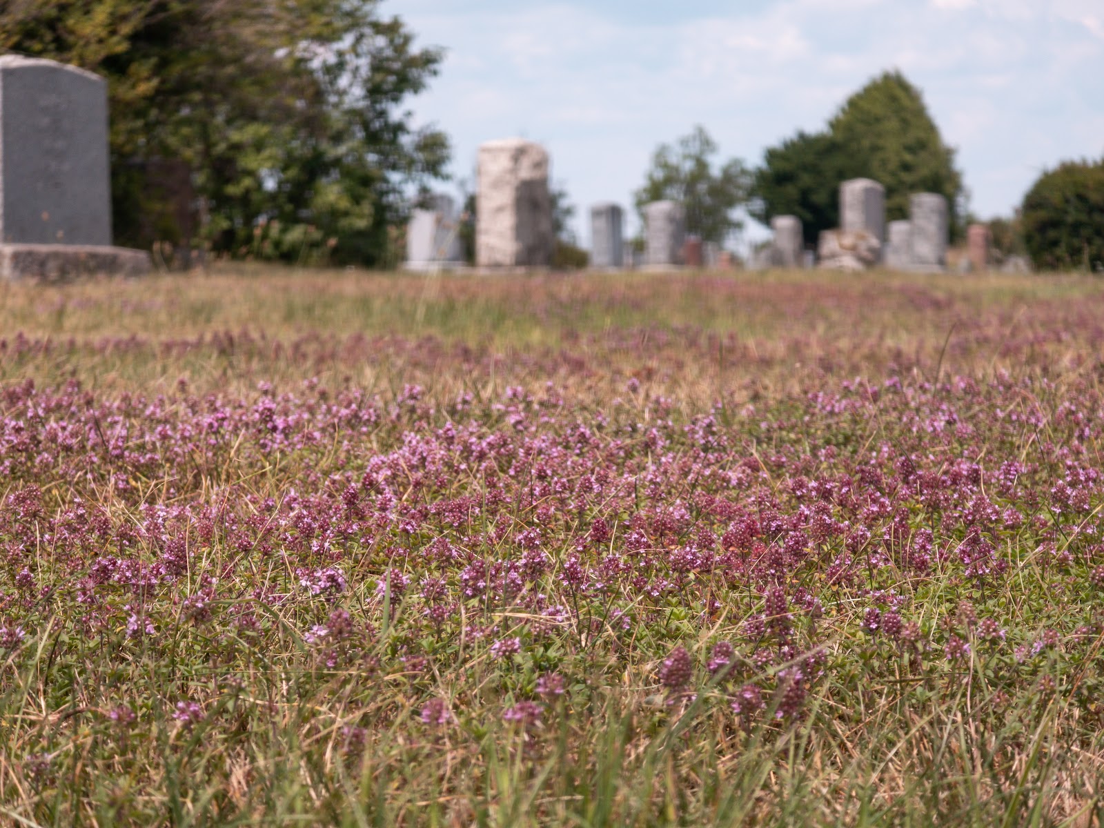 Mount Hope Cemetery