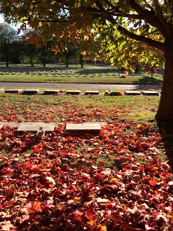 Mount Hope Cemetery grounds