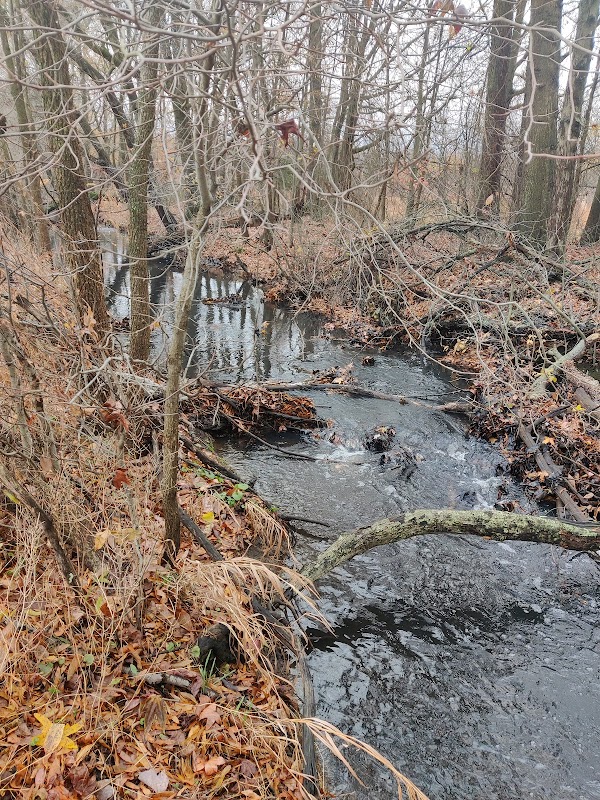 Mount Laurel Memorial Park grounds