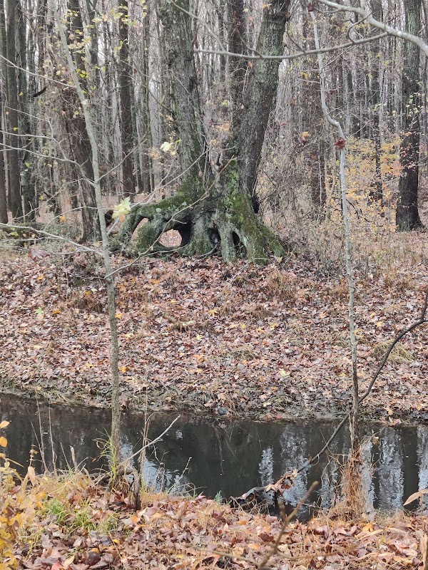 Mount Laurel Memorial Park grounds