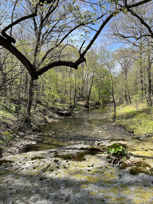 Mount Moriah Cemetery grounds