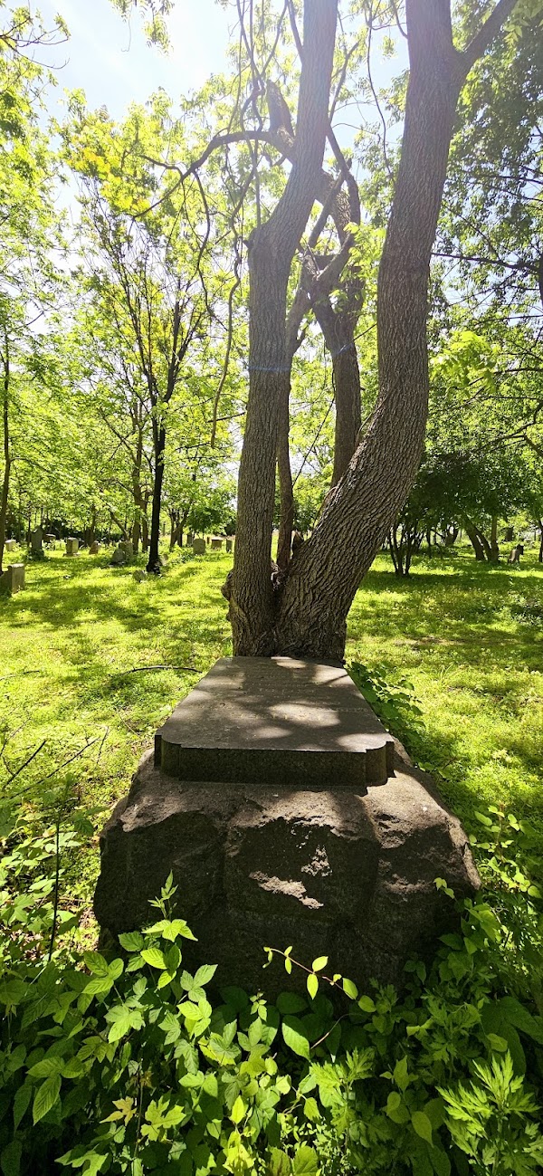 Mount Moriah Cemetery grounds