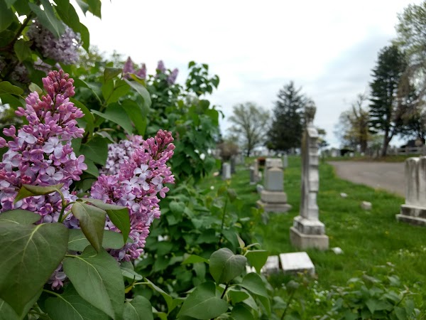 Mount Olivet Cemetery grounds