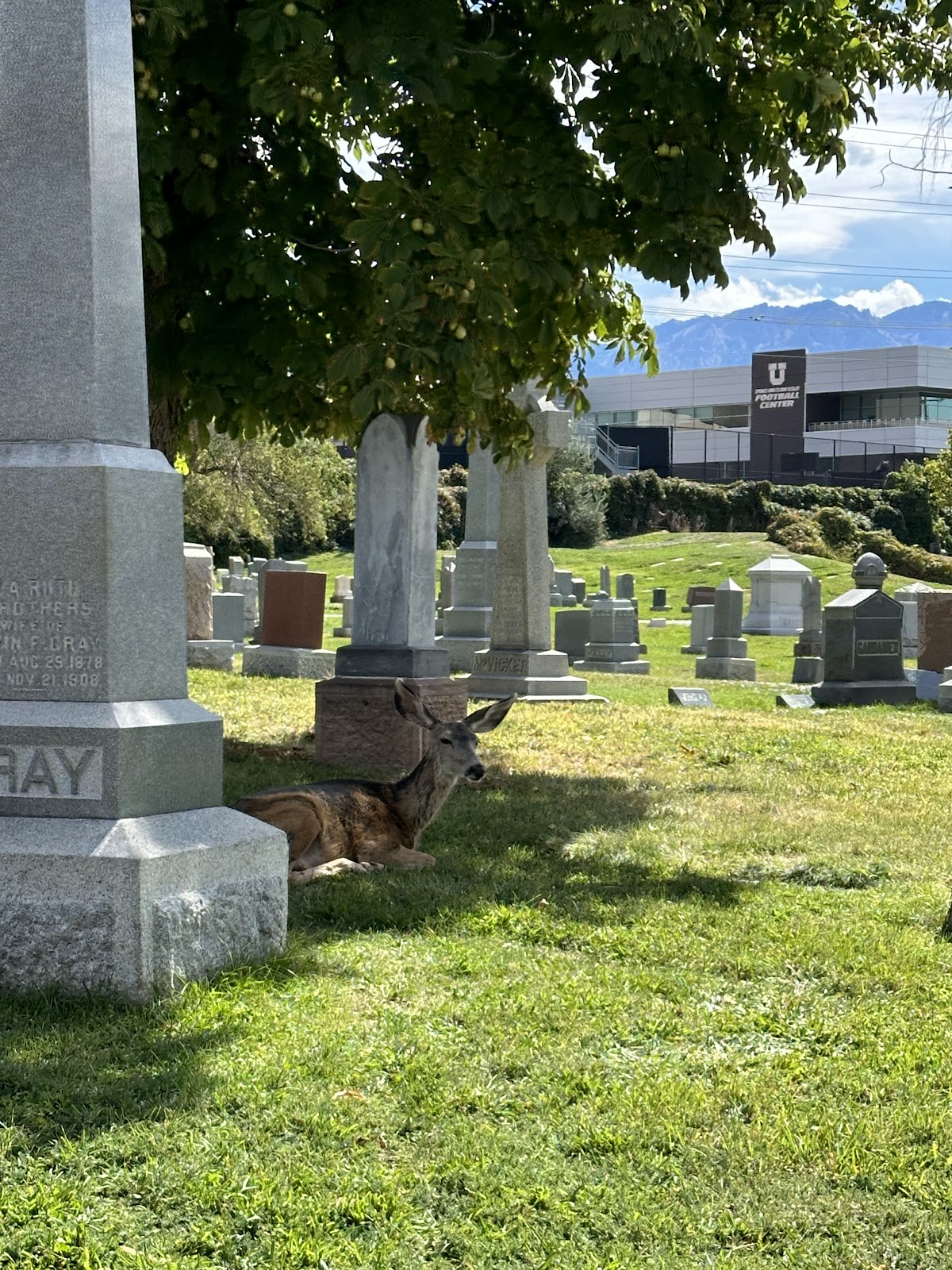 Mount Olivet Cemetery headstone and grounds
