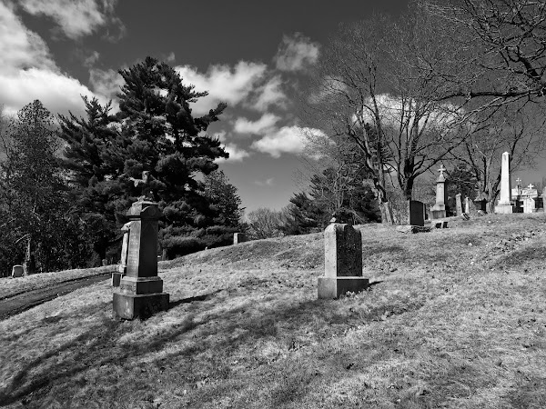 Mount Pleasant Cemetery grounds