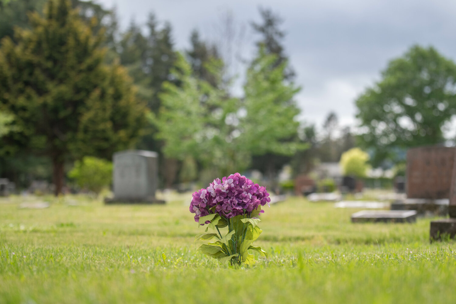 Mountain View Cemetery cemetery grounds and headstones