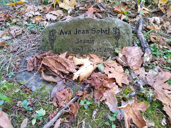 Mountain View Cemetery grounds