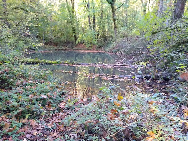 Mountain View Cemetery grounds