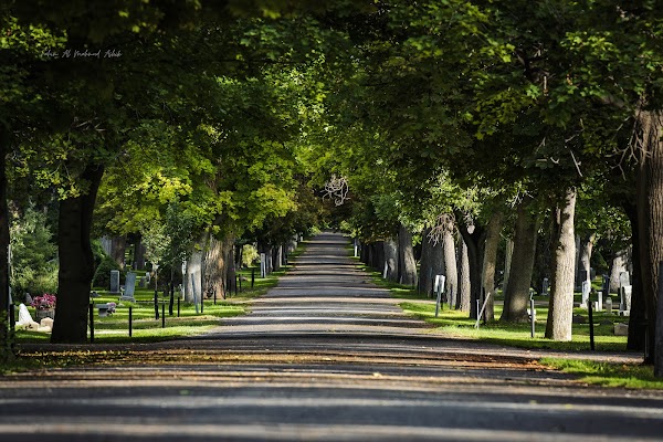 Mountain View Cemetery grounds