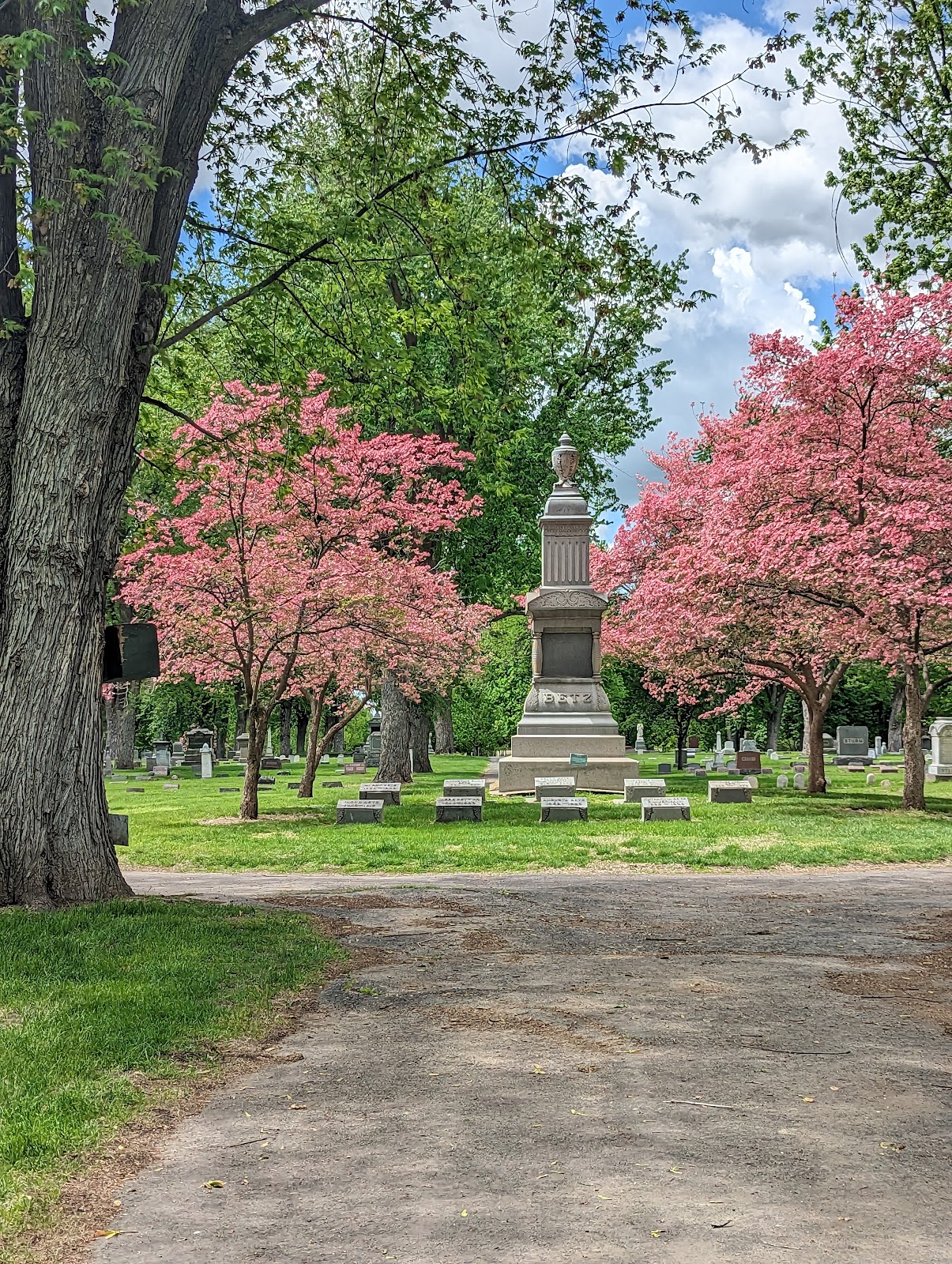 Mountain View Cemetery cemetery grounds and headstones