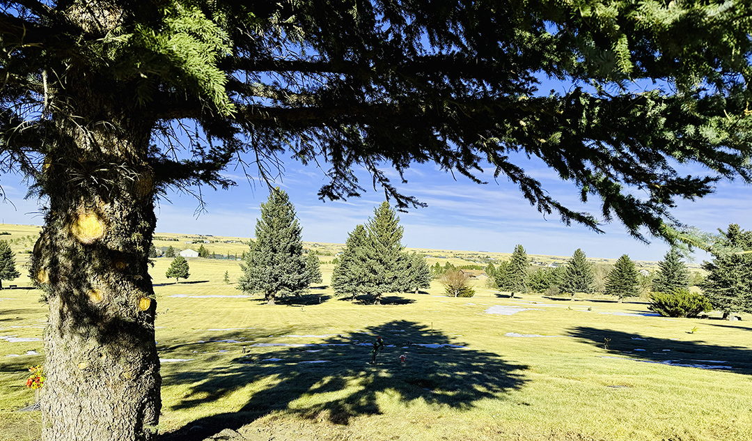 Mountain View Memorial Park