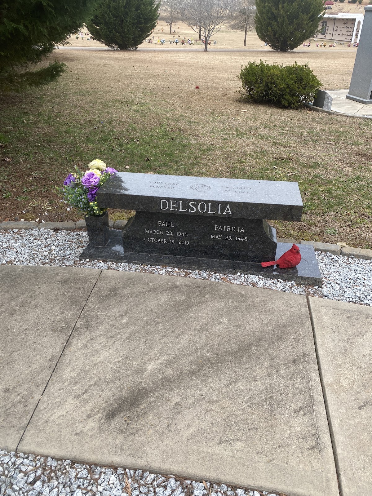 Mountain View Memorial Park cemetery grounds and headstones
