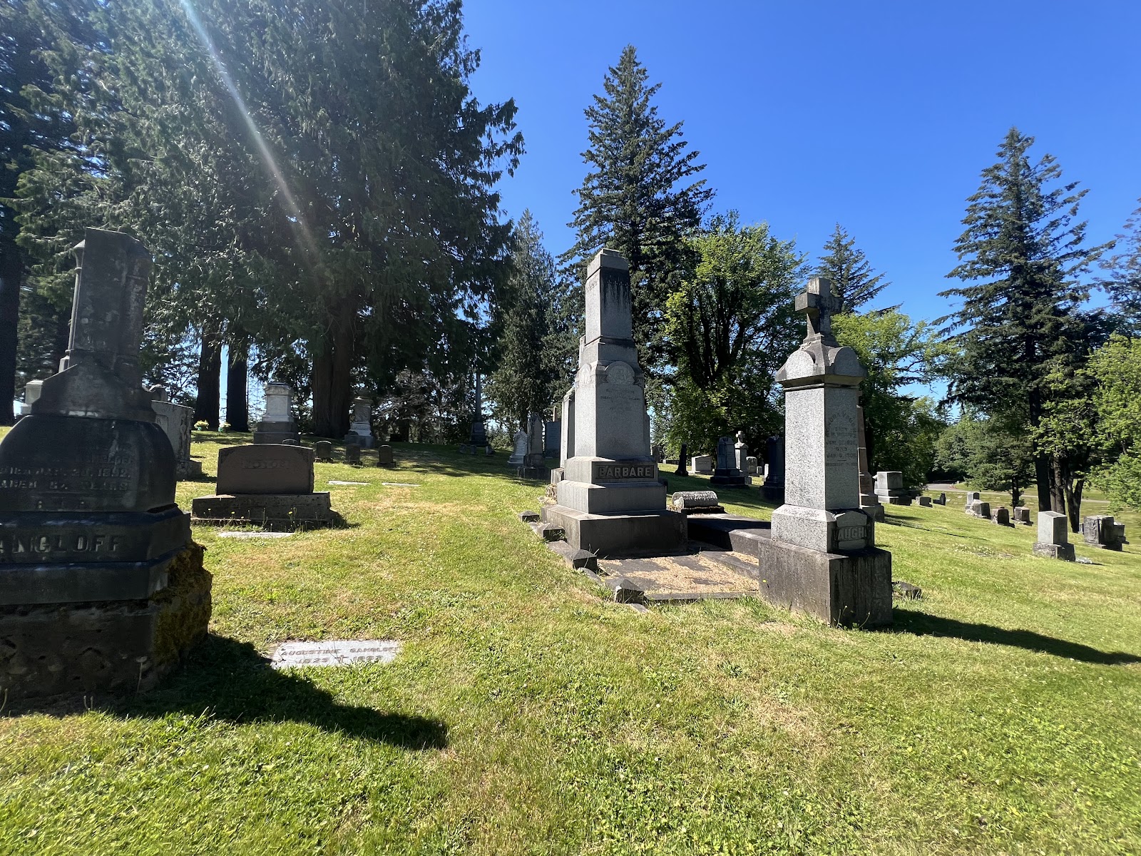 Mt. Calvary Catholic Cemetery cemetery grounds and headstones