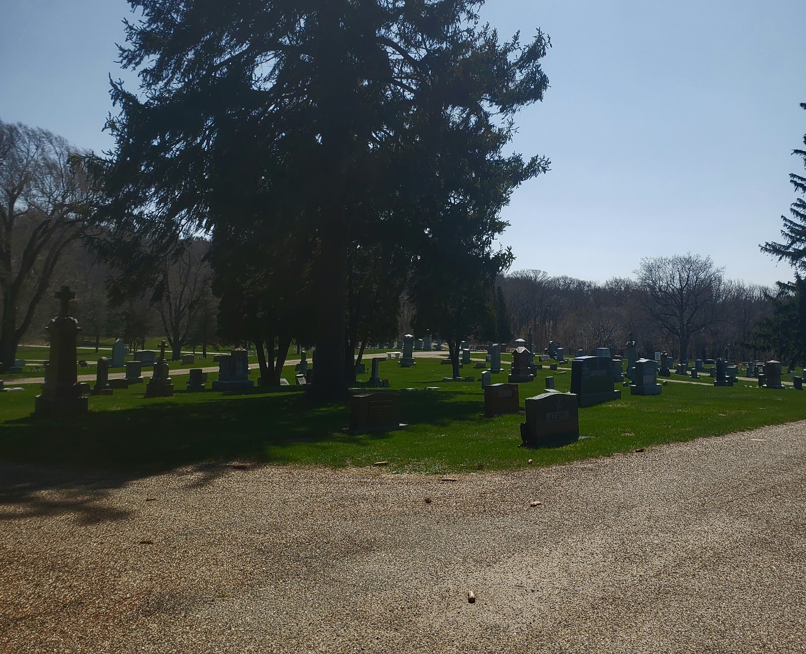 Mt. Calvary Cemetery cemetery grounds and headstones