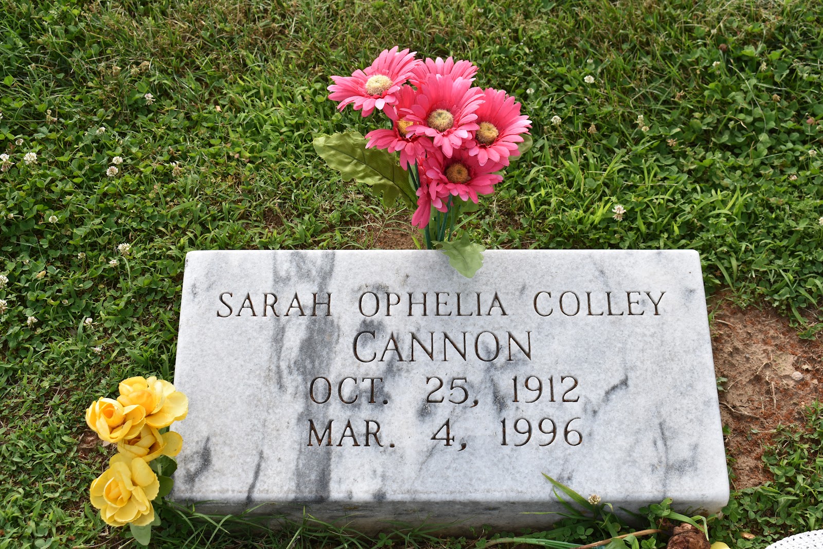 Mt Hope Cemetery cemetery grounds and headstones