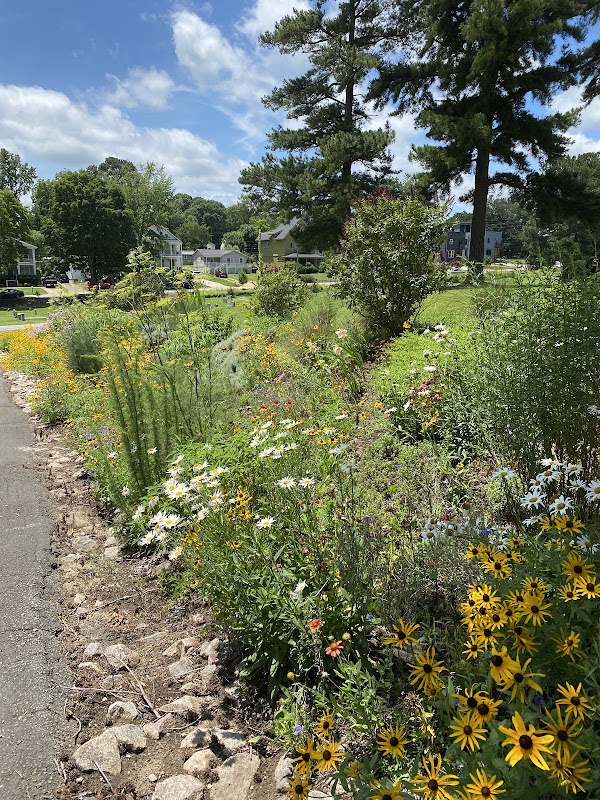 Mt Hope Cemetery grounds