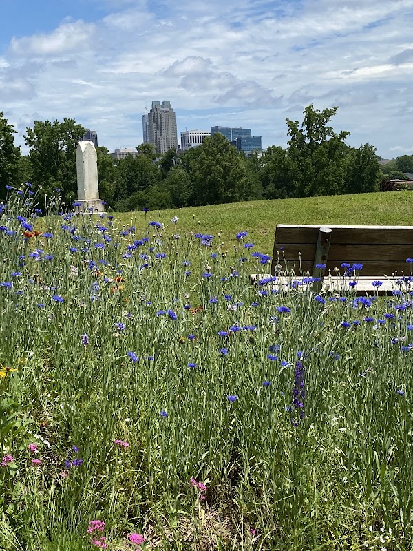 Mt Hope Cemetery grounds