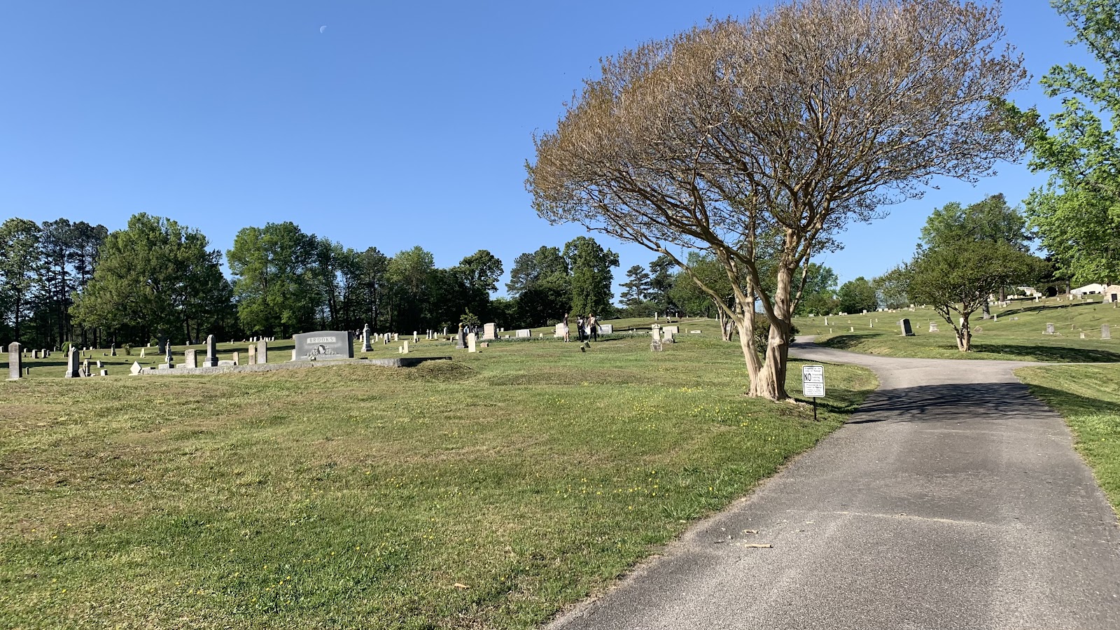 Mt Hope Cemetery headstone and grounds