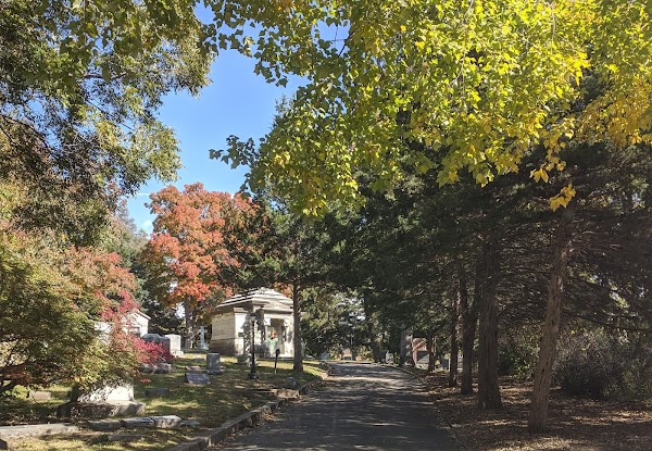 Mt Mora Cemetery grounds