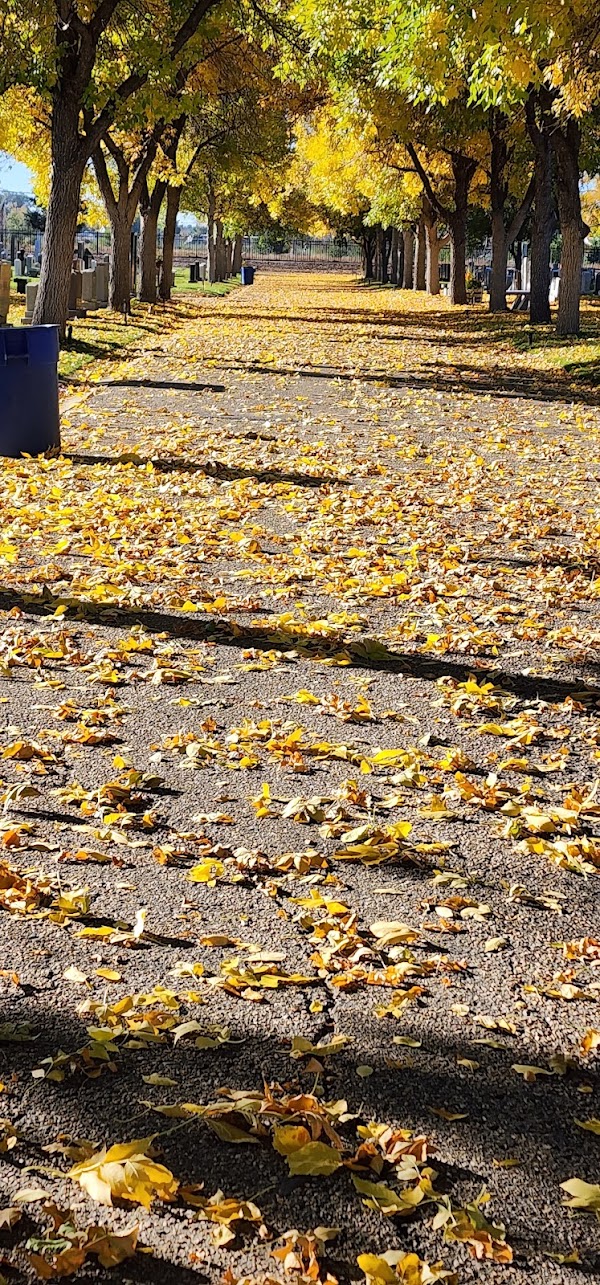 Mt Nebo Cemetery grounds