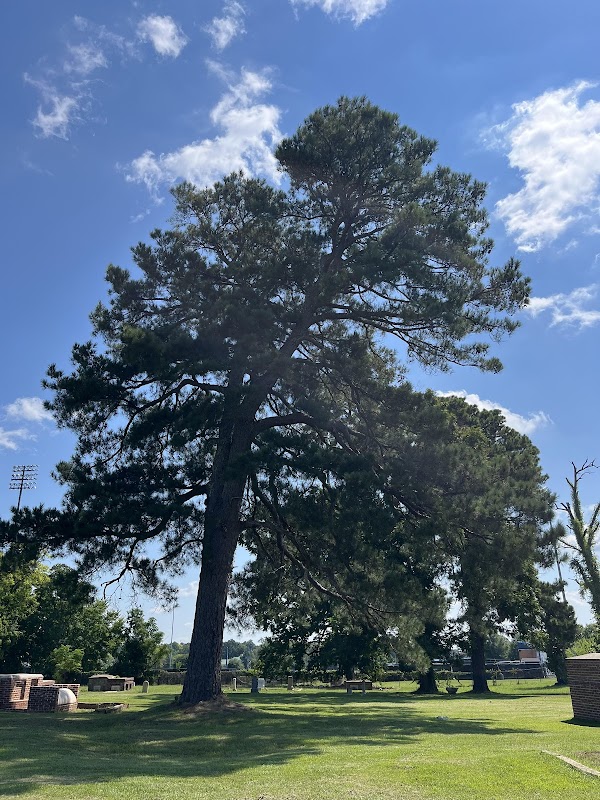 Mt. Olive Cemetery grounds