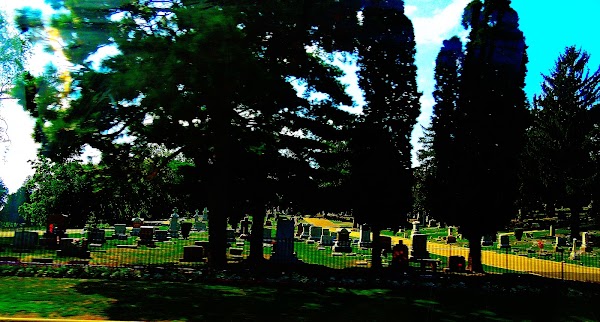 Mt Olivet Cemetery & Mausoleum grounds