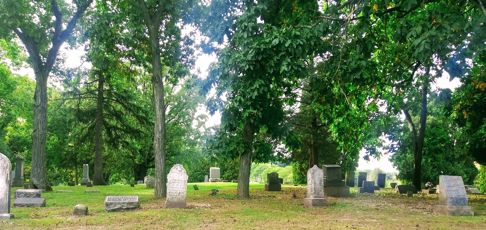 Mt Olivet Cemetery & Mausoleum cemetery grounds and headstones