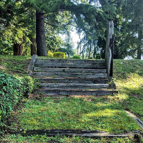 Mt. Olivet Cemetery grounds