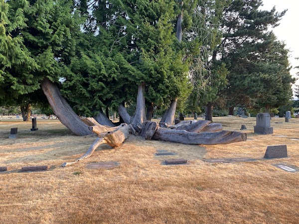 Mt Pleasant Cemetery grounds