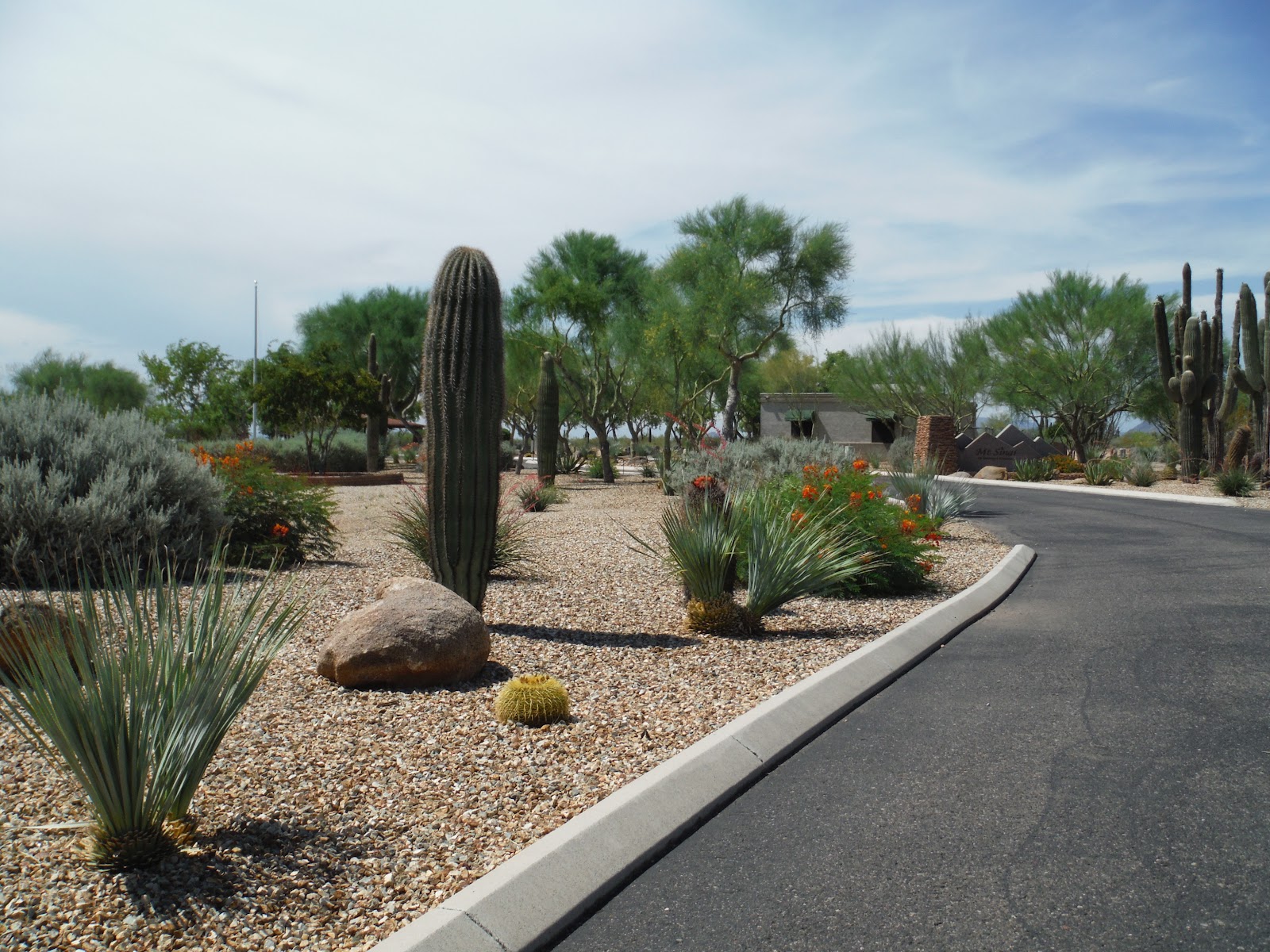 Mt Sinai Cemetery cemetery grounds and headstones