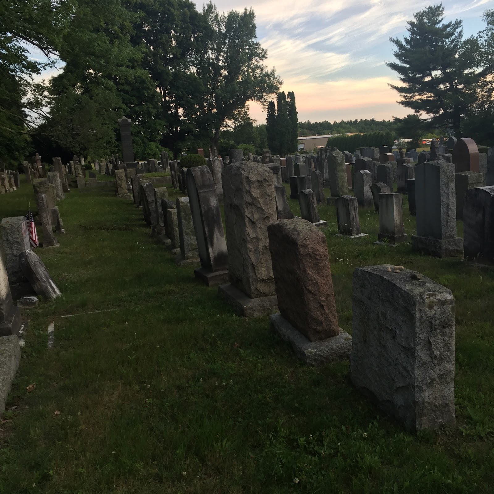 Mt. Sinai Cemetery cemetery grounds and headstones