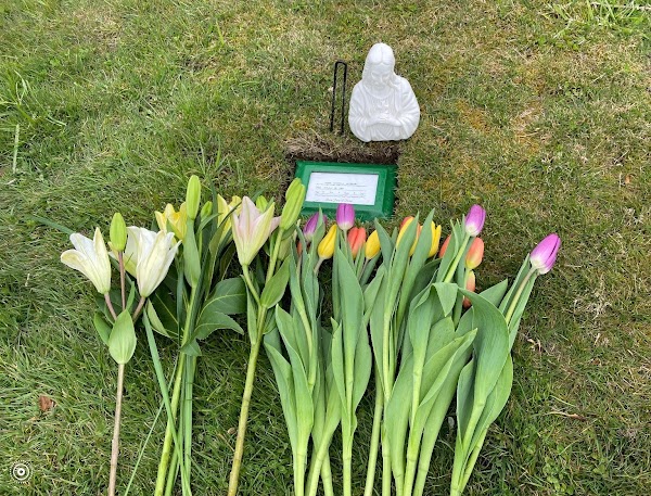 Mt Vernon Cemetery Inc grounds