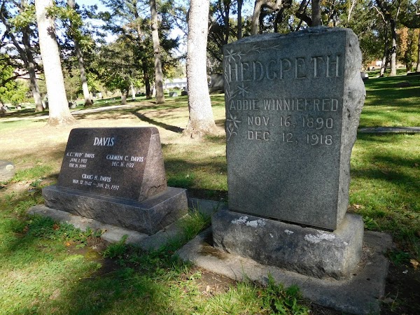 Mt View Cemetery grounds