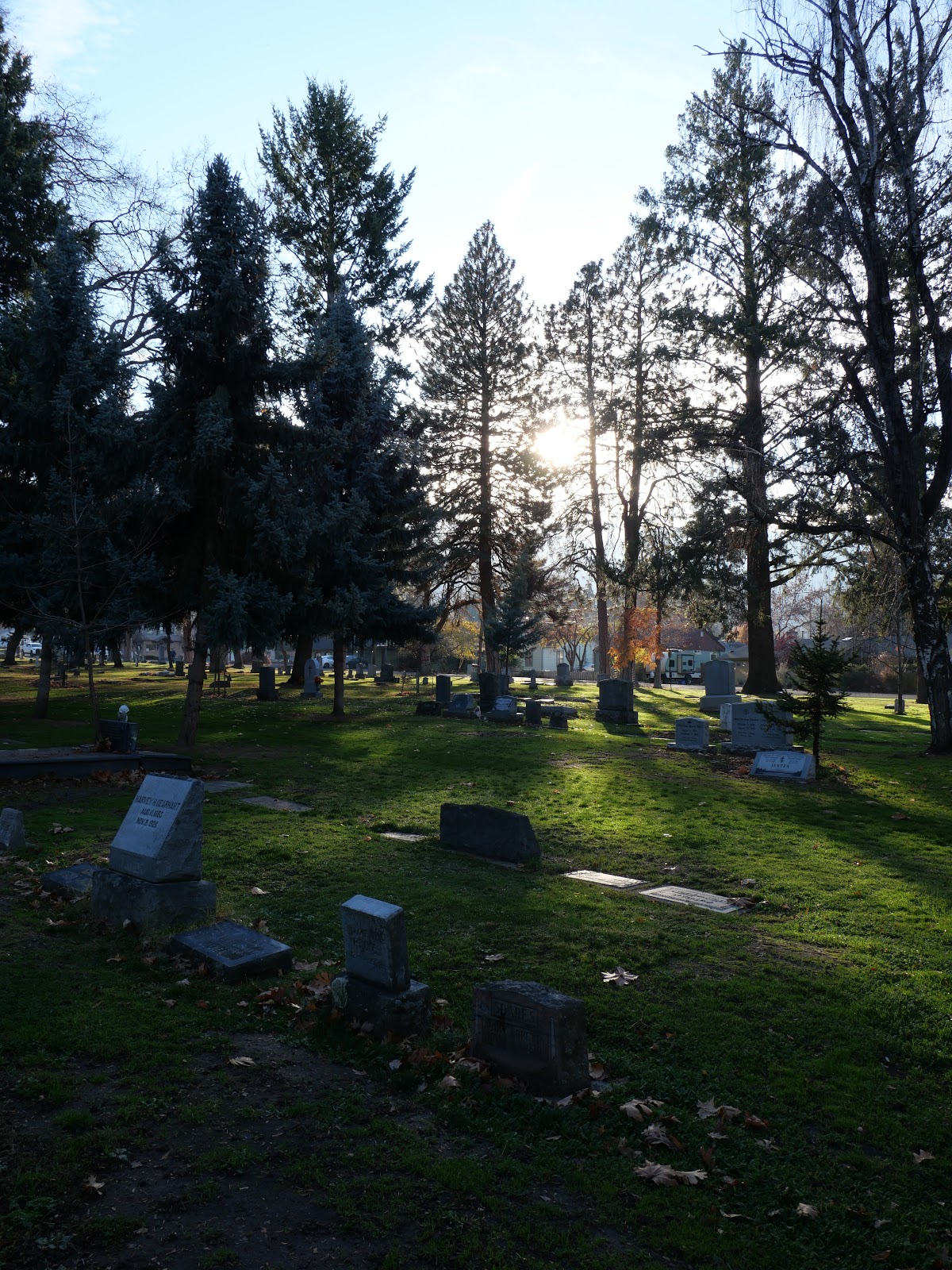Mt View Cemetery cemetery grounds and headstones