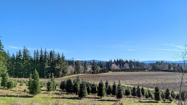 Mt. View Corbett Cemetery grounds