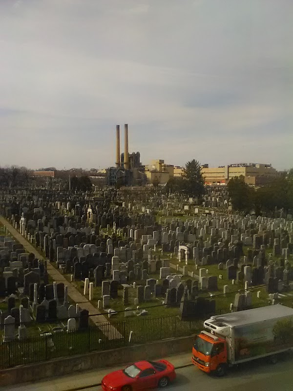 Mt Zion Cemetery grounds