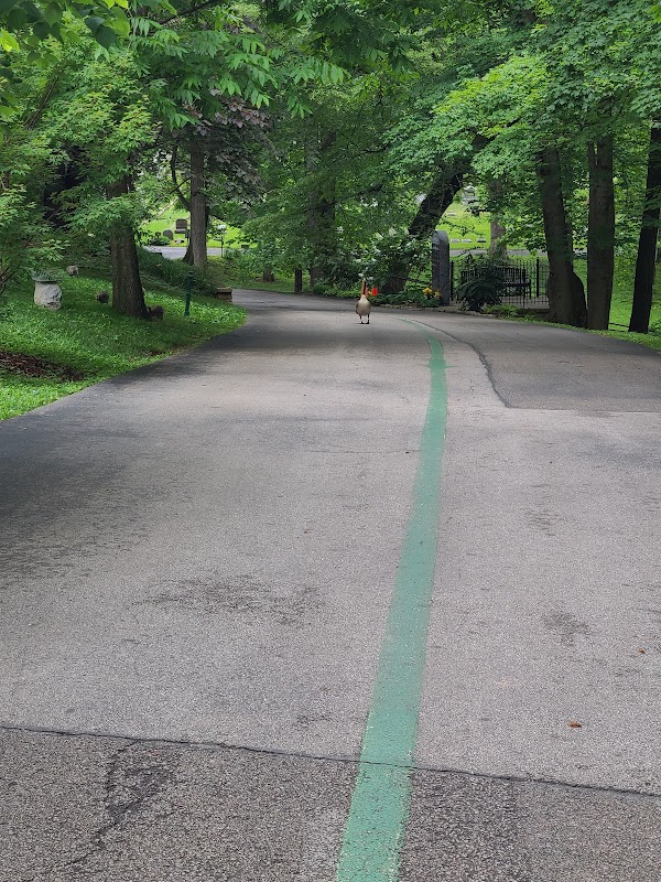 Muhammad Ali's Grave grounds