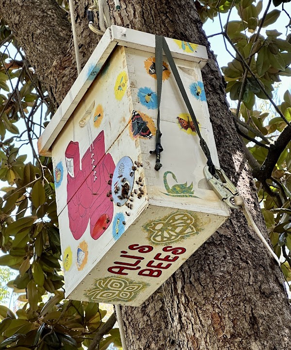 Muhammad Ali's Grave grounds