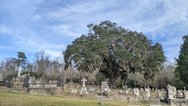 Natchez City Cemetery grounds