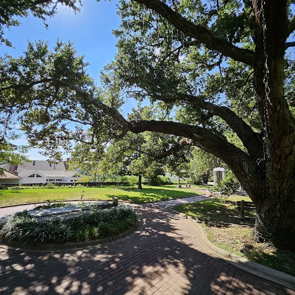 Natchez Memorial Park grounds