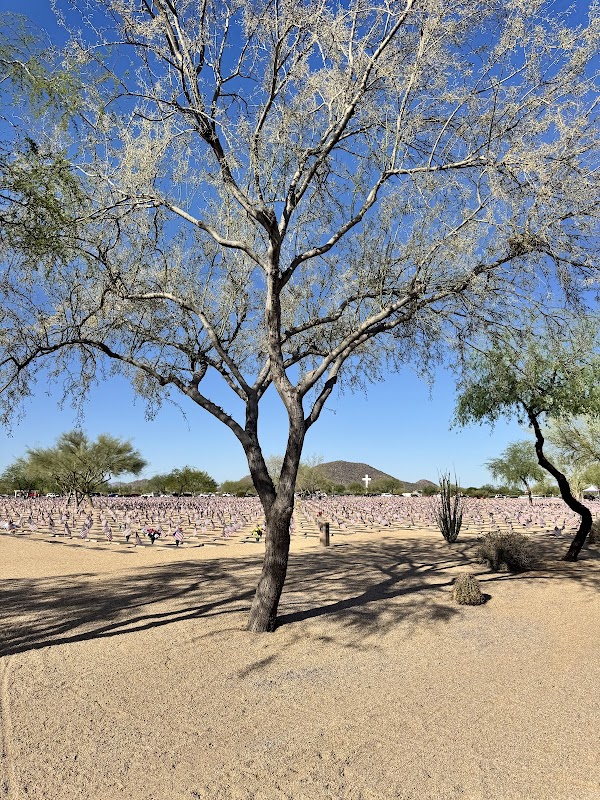 National Memorial Cemetery of Arizona grounds