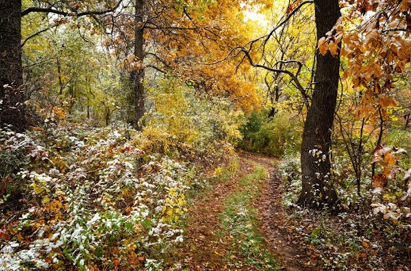 Natural Path Sanctuary grounds