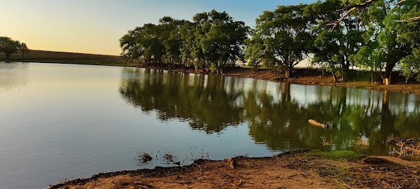Ned Houk Memorial Park grounds