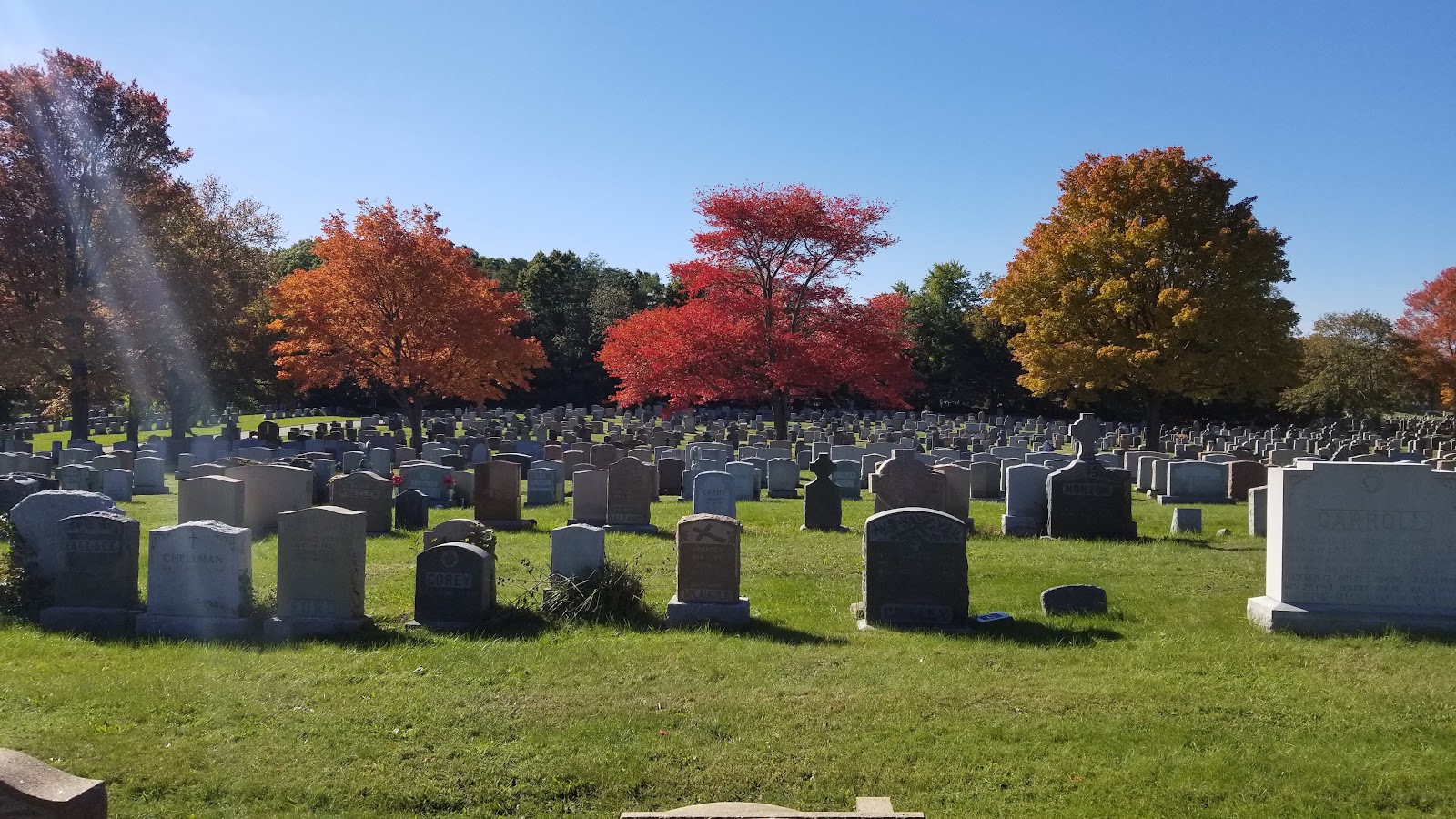 New Calvary Cemetery cemetery grounds and headstones