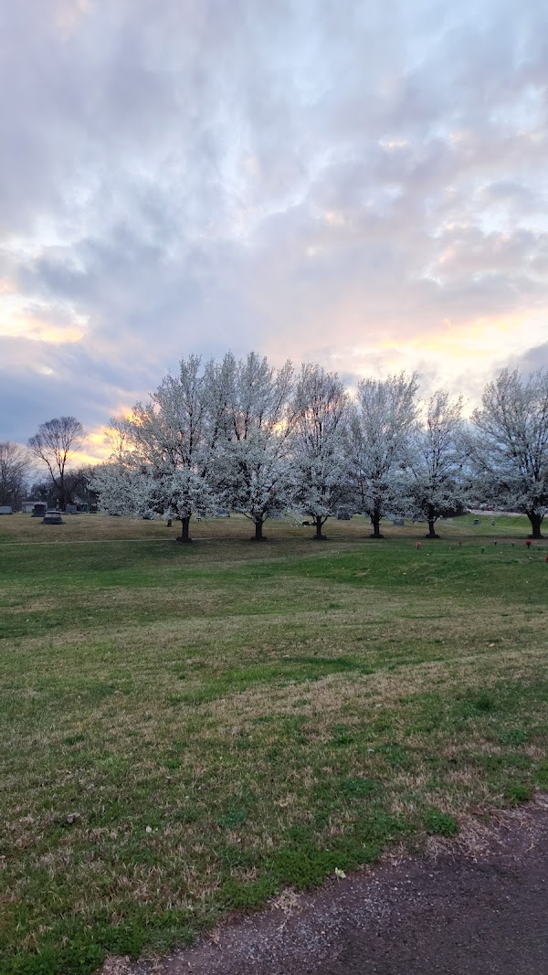 New Gray Cemetery grounds