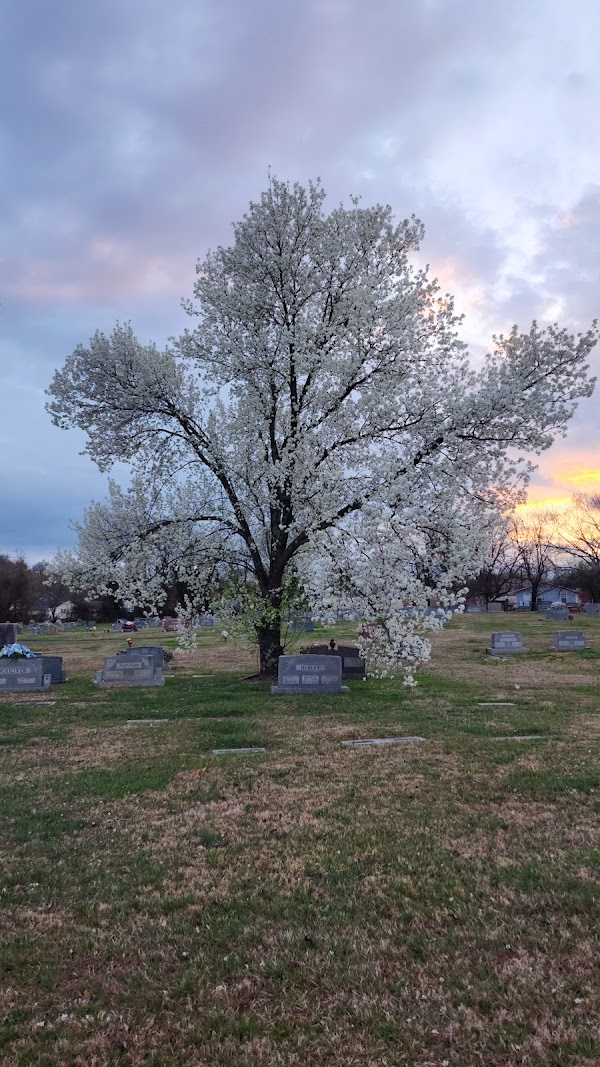 New Gray Cemetery grounds